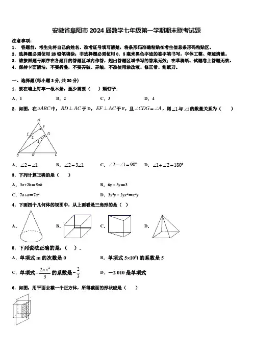 安徽省阜阳市2024届数学七年级第一学期期末联考试题含解析
