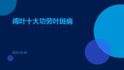 阔叶十大功劳叶斑病
