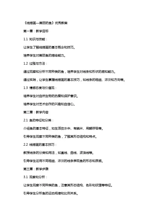 《线描画—美丽的鱼》教案