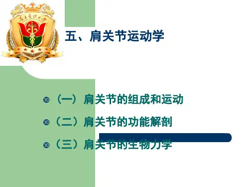 肩关节运动学