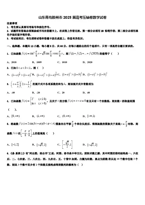 山东青岛胶州市2025届高考压轴卷数学试卷含解析
