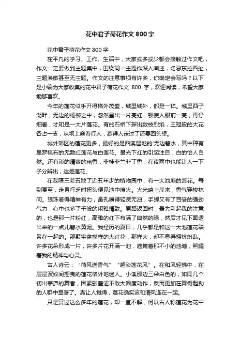 花中君子荷花作文800字