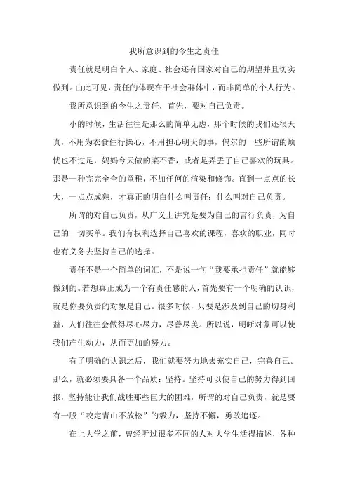 我所意识到的今生之责任