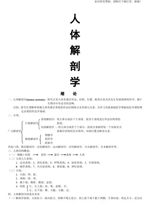 人体解剖学笔记.doc