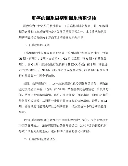 肝癌的细胞周期和细胞增殖调控
