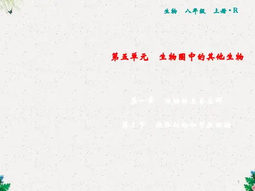 人教版生物八年级上册习题课件：第5单元 第1章 第3节 软体动物和节肢动物(共16张PPT)