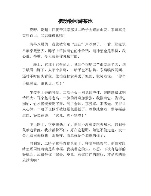 带一个动物去一个地方的作文