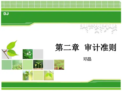 第二章审计准则(精)