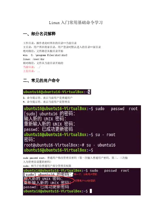 Linux入门基础命令