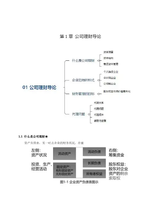 公司理财知识点精讲	第1章	公司理财导论