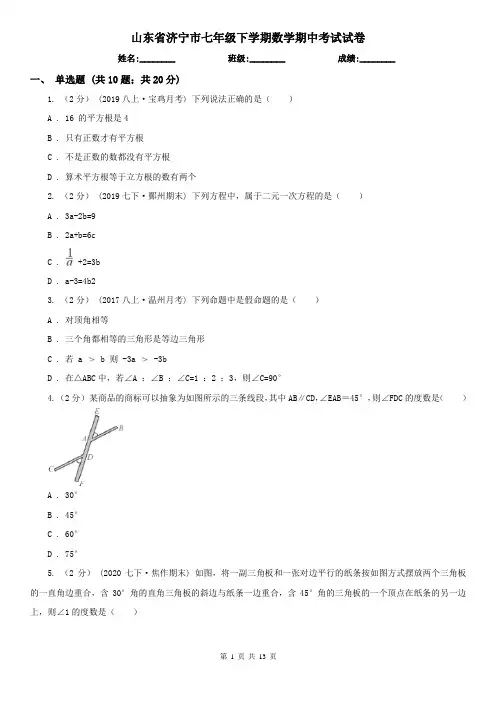 山东省济宁市七年级下学期数学期中考试试卷