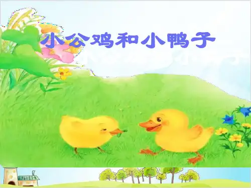 一年级语文下册课文二《小公鸡和小鸭子 》人教部编教材版