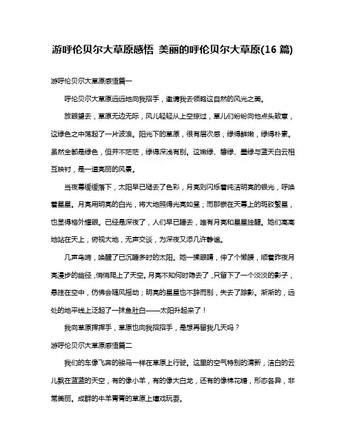 游呼伦贝尔大草原感悟美丽的呼伦贝尔大草原(16篇)