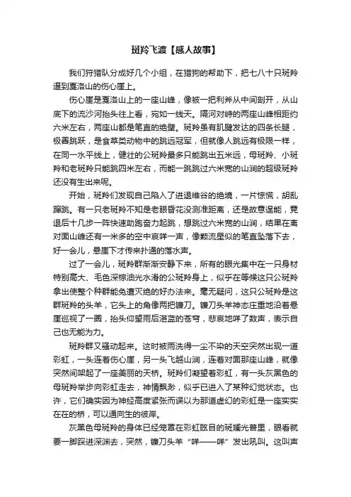 斑羚飞渡【感人故事】