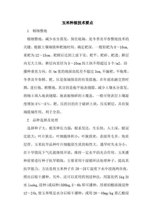 玉米种植技术要点