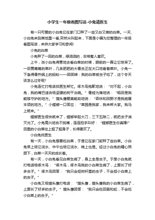 小学生一年级看图写话-小兔请医生