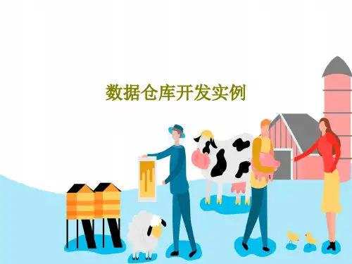 数据仓库开发实例共35页