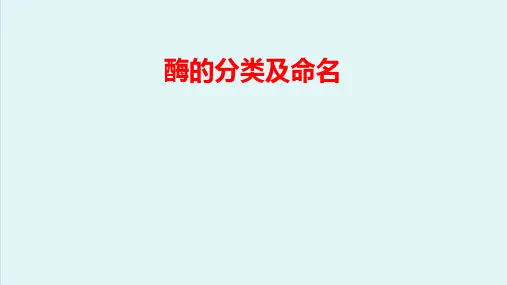 酶—酶的概述(生物化学课件)
