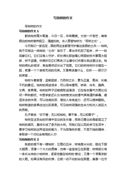 写柏树的作文