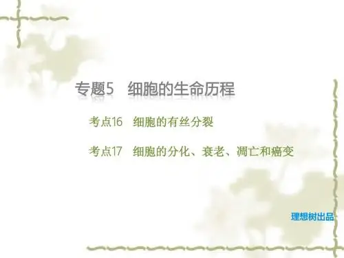 2016届高考生物专题复习课件(5)细胞的生命历程(共36张PPT)