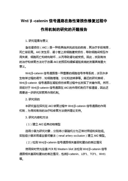 β-catenin信号通路在急性肾损伤修复过程中作用机制的研究的开题报告