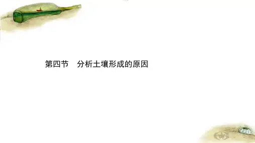 (新教材)2020-2021学年高中鲁教版地理必修第一册课件：3.4 分析土壤形成的原因 