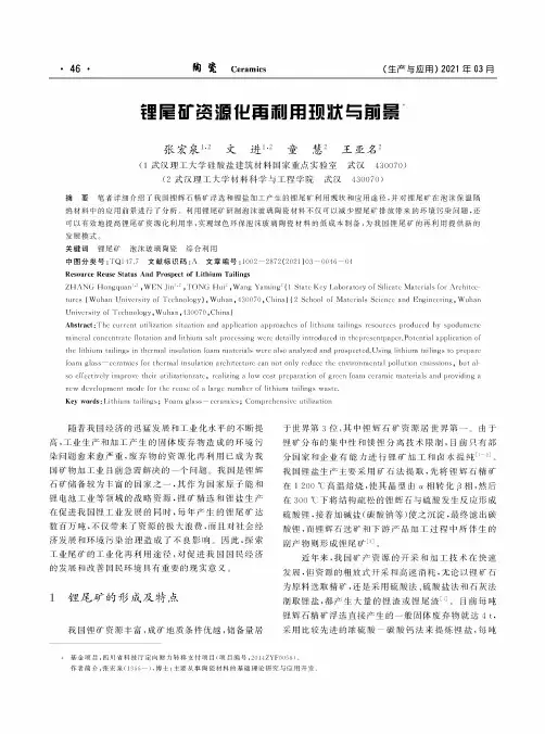 锂尾矿资源化再利用现状与前景