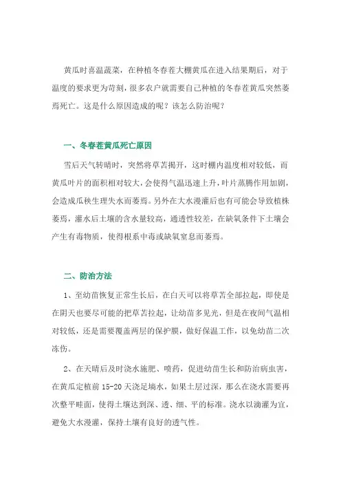 黄瓜突然萎焉死亡的原因和防治措施