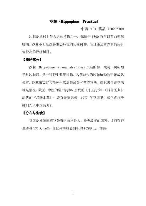 沙棘
