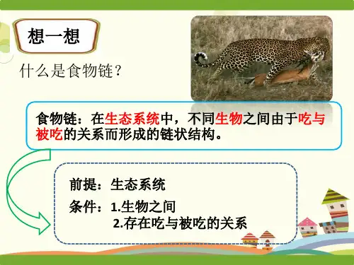 初中生物教材解读人教七年级上册生物和生物圈-食物链的书写PPT