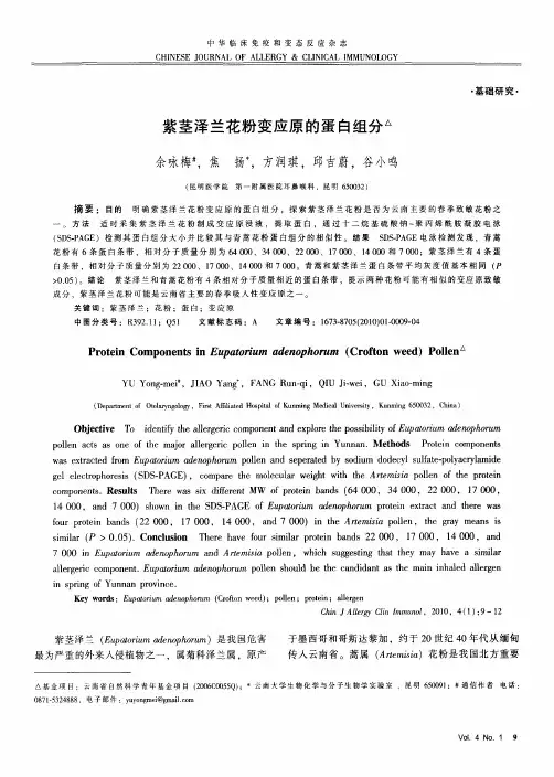 紫茎泽兰花粉变应原的蛋白组分