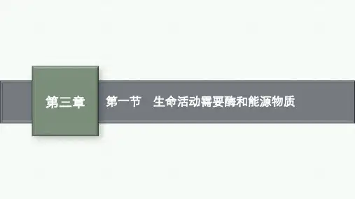 苏教版高中生物学必修1精品课件 第3章 细胞中能量的转换和利用 第1节 生命活动需要酶和能源物质