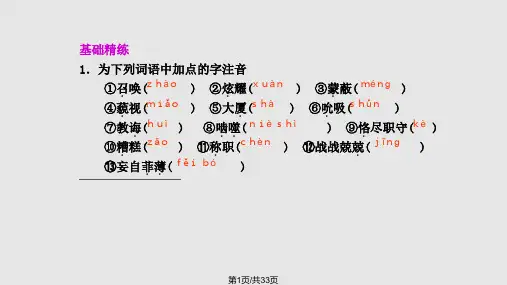 青年在选择职业时的考虑张PPT课件