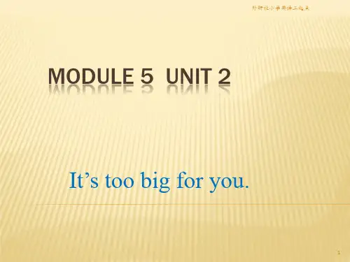外研社英语三起点五年级下5Unit2ItstoobigforyouPPT课件