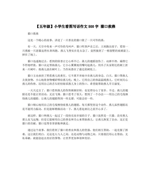【五年级】小学生看图写话作文500字 猫口救燕