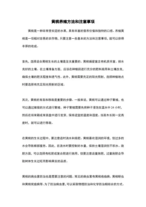黄桃养殖方法和注意事项