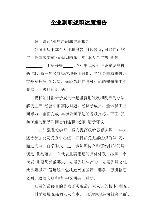 企业副职述职述廉报告