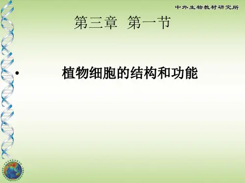 植物细胞结构和功能
