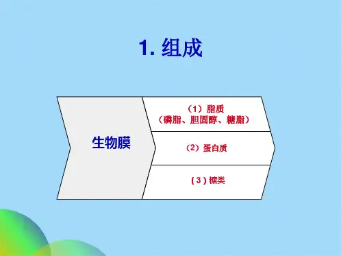 生物化学第二章(共64张PPT)