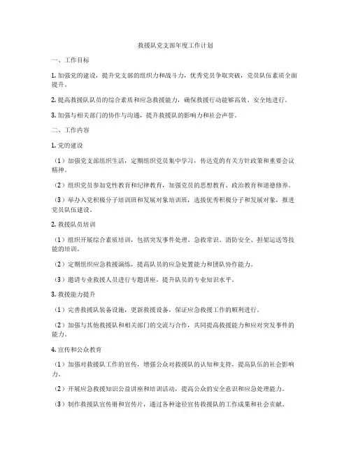 救援队党支部年度工作计划