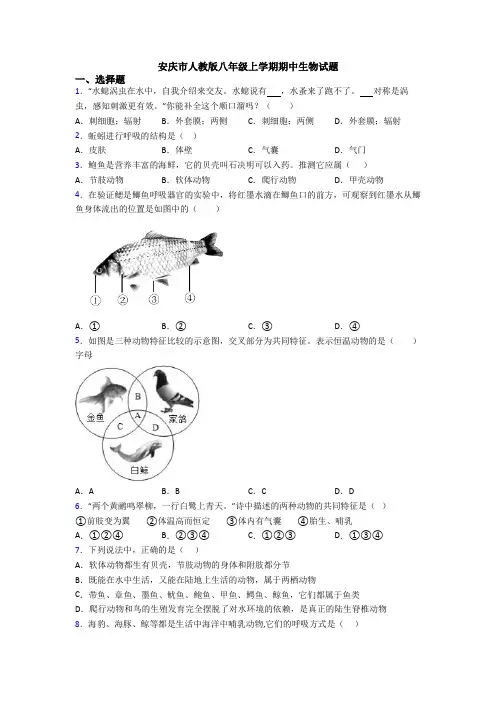 安庆市人教版八年级上学期期中生物试题