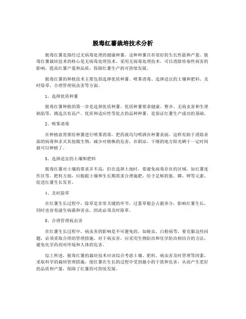 脱毒红薯栽培技术分析