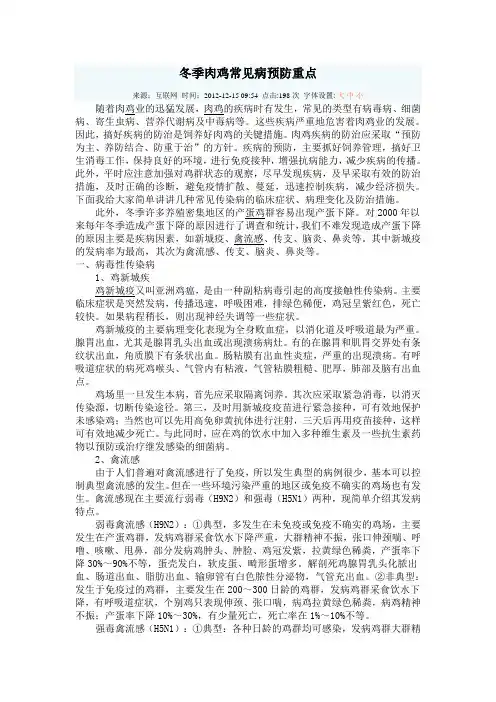冬季肉鸡常见病预防重点
