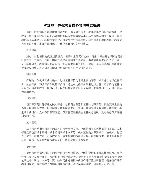 对煤电一体化项目财务管理模式探讨