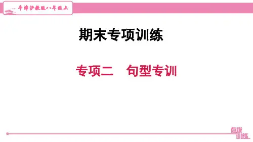 最新牛津沪教版八年级下册英语期末复习专项二 句型专训