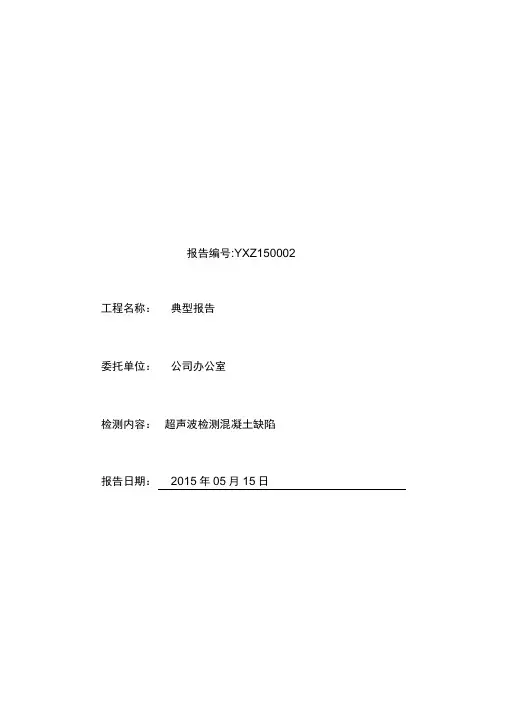 混凝土超声检测缺陷报告
