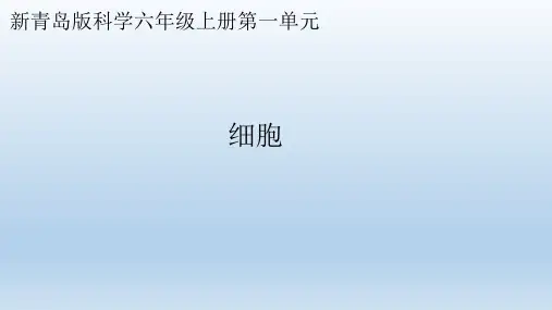 小学科学青岛版六三制六年级上册第一单元第1课《细胞》教学课件(2022)
