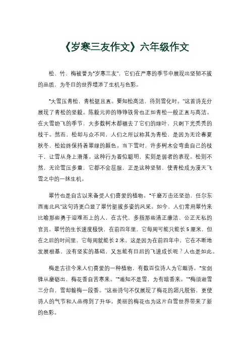 《岁寒三友作文》六年级作文