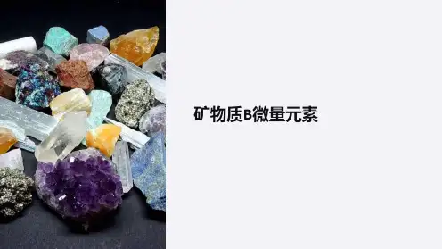 营养指导师课件矿物质B微量元素