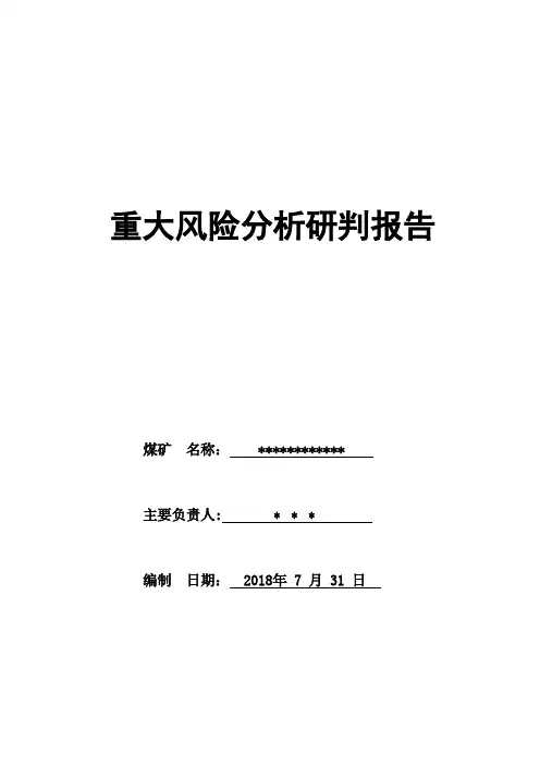 XX煤矿重大风险分析研判报告